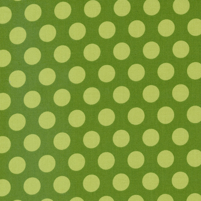 Favorite Things Evergreen Dots