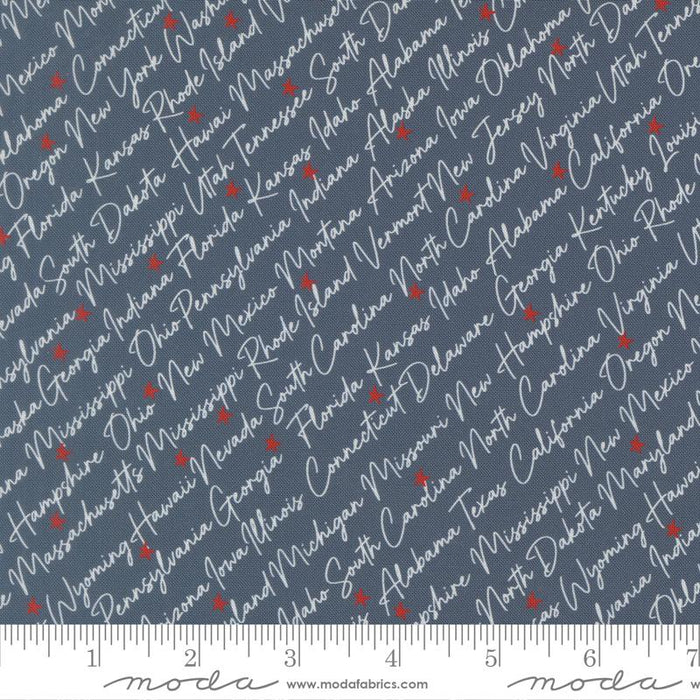 Independence Day Indigo 55721 14