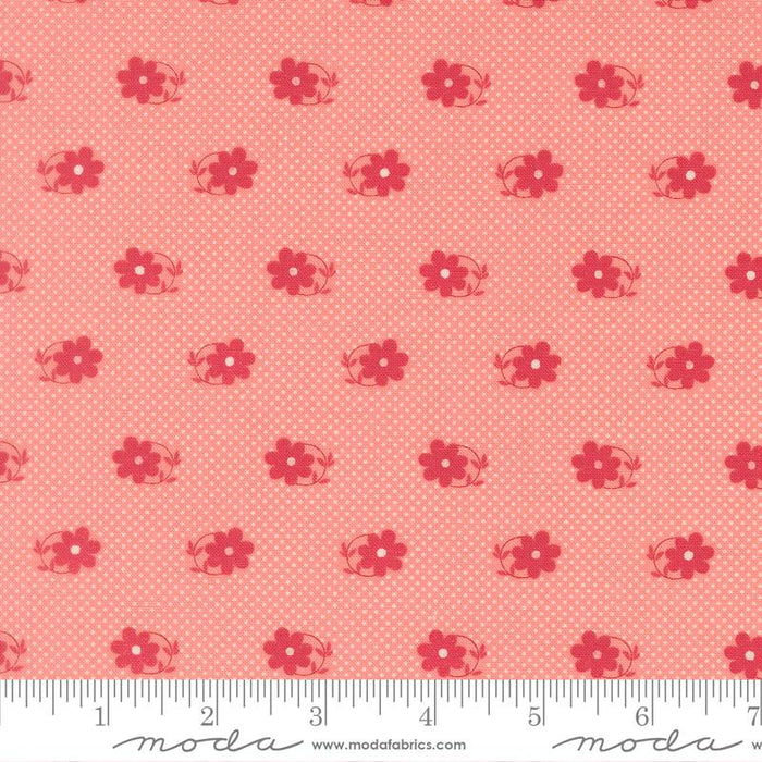 Petals And Polka Dots Blossoms 3083 15