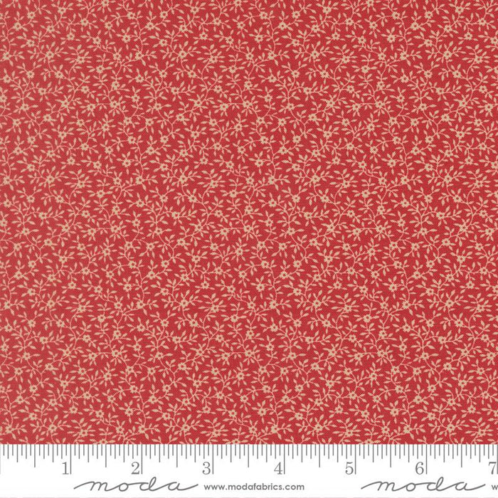 Petals And Polka Dots Rose 3084 19