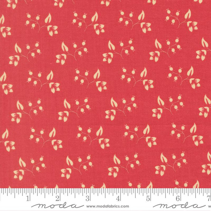 Petals And Polka Dots Tea Rose 3085 18