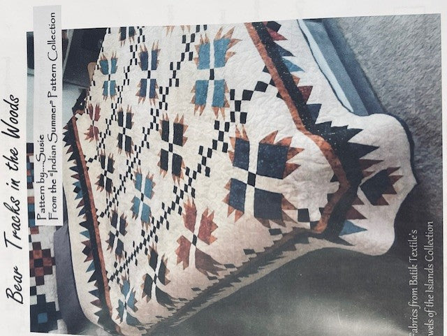 Bear Tracks in the Woods