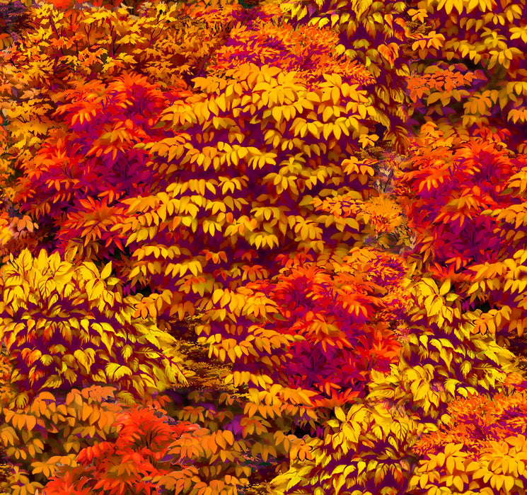 Brookside Lodge Fall Leaves