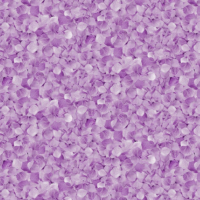 Packed Petals Lavender