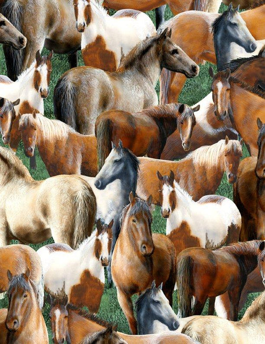 Roaming Wild Horses A/O Green