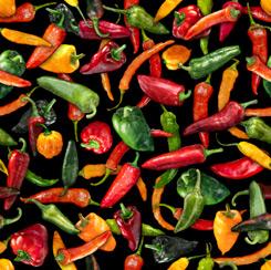 Fresh Chili Pepper J