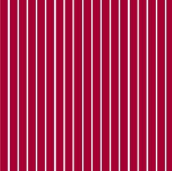 Red Spaced Stripe