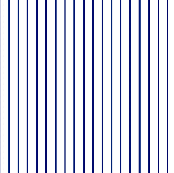 Navy/White Spaced Stripe